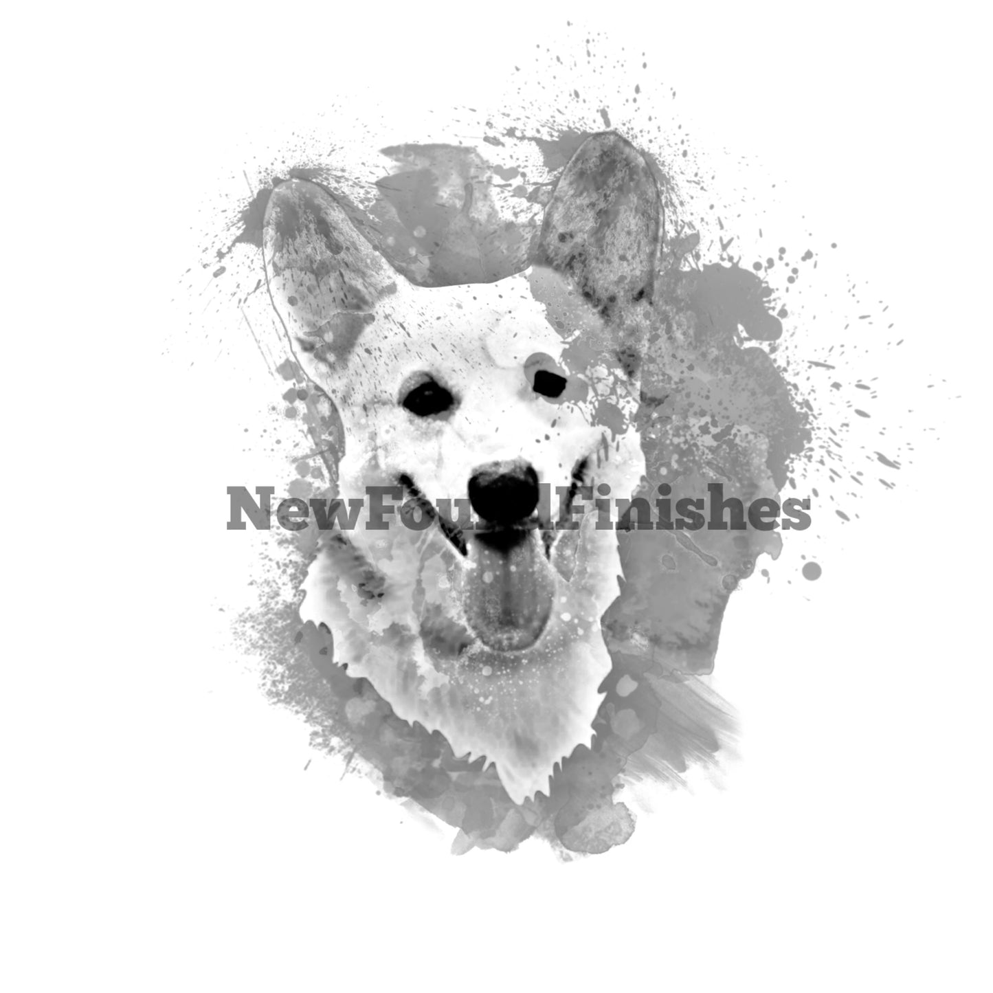 White retriever