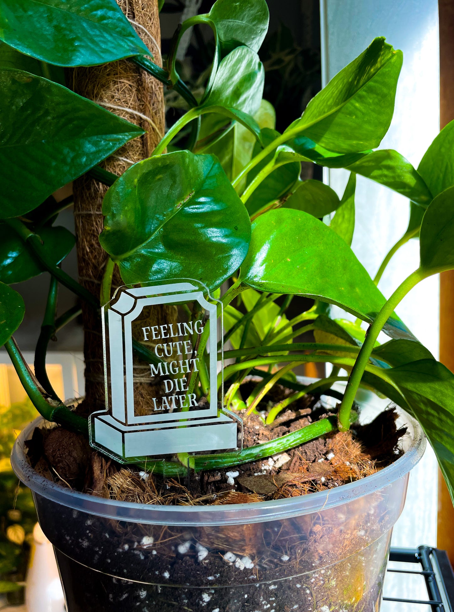 Funny tombstone plant stakes 2 medium sized