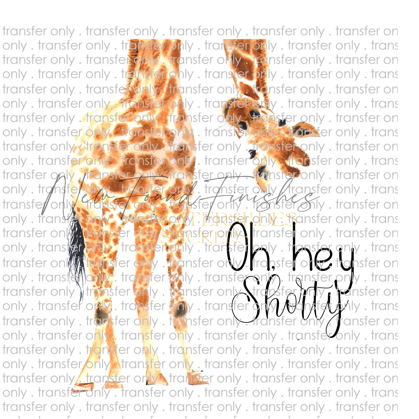 Oh, hey shorty