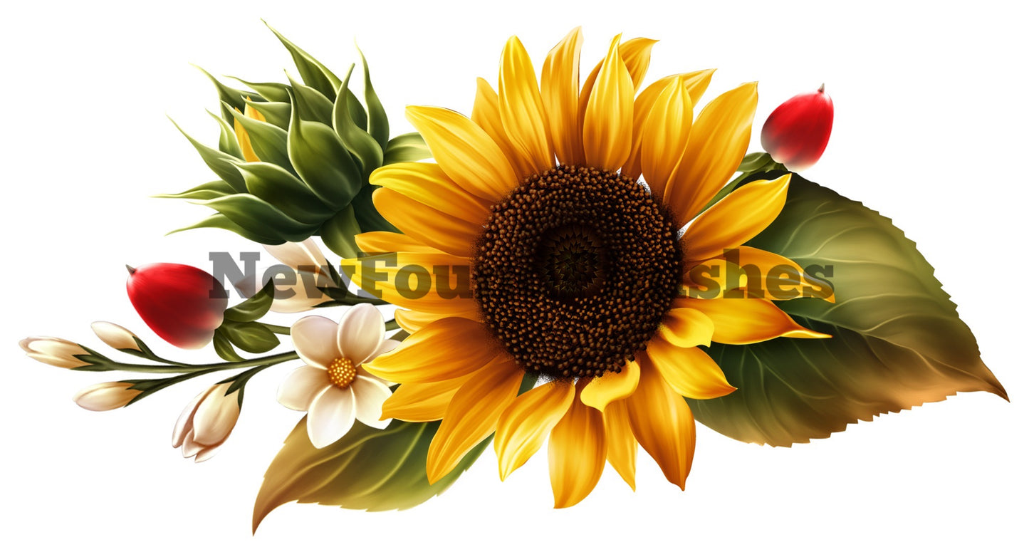 Sunflower2