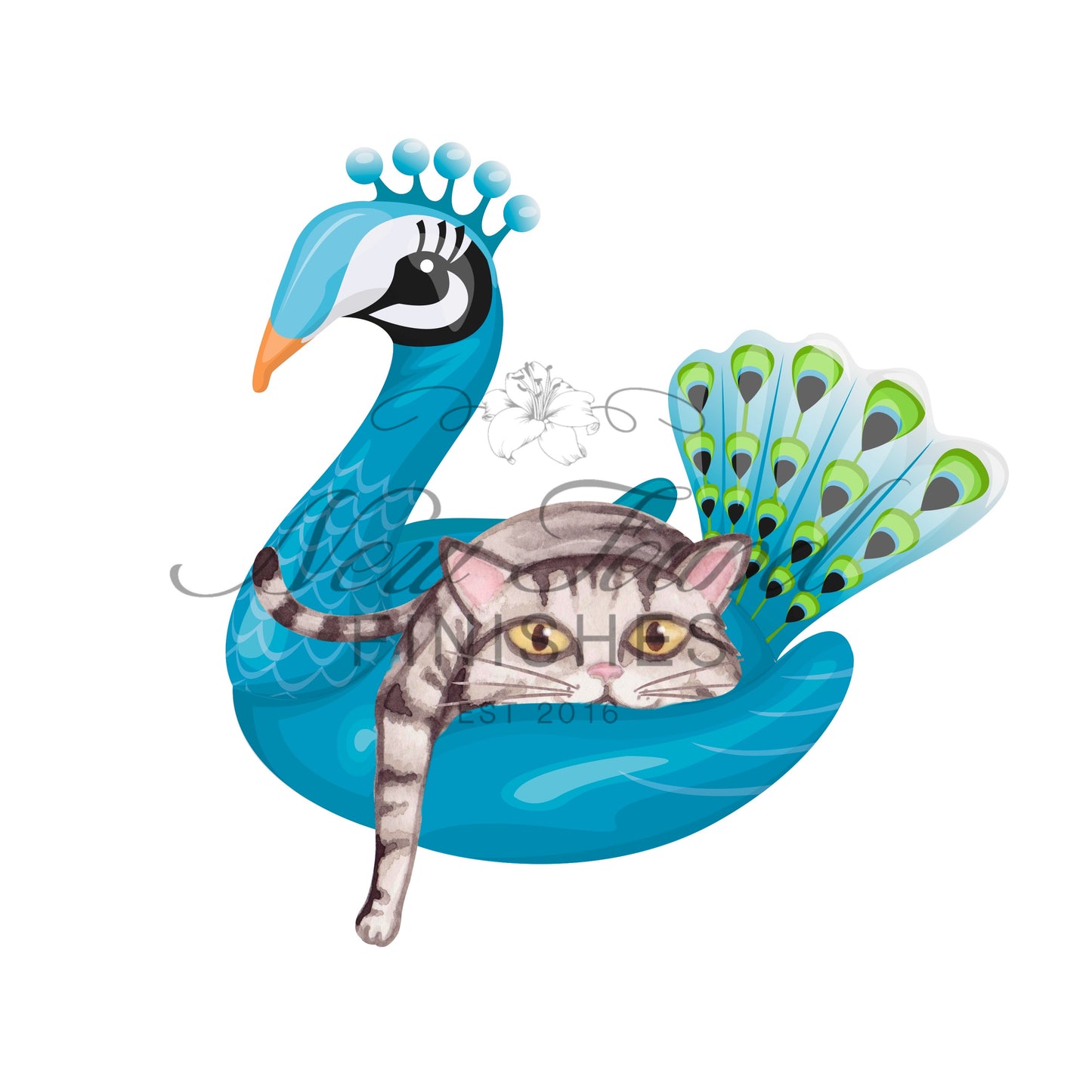 Cat on floatie