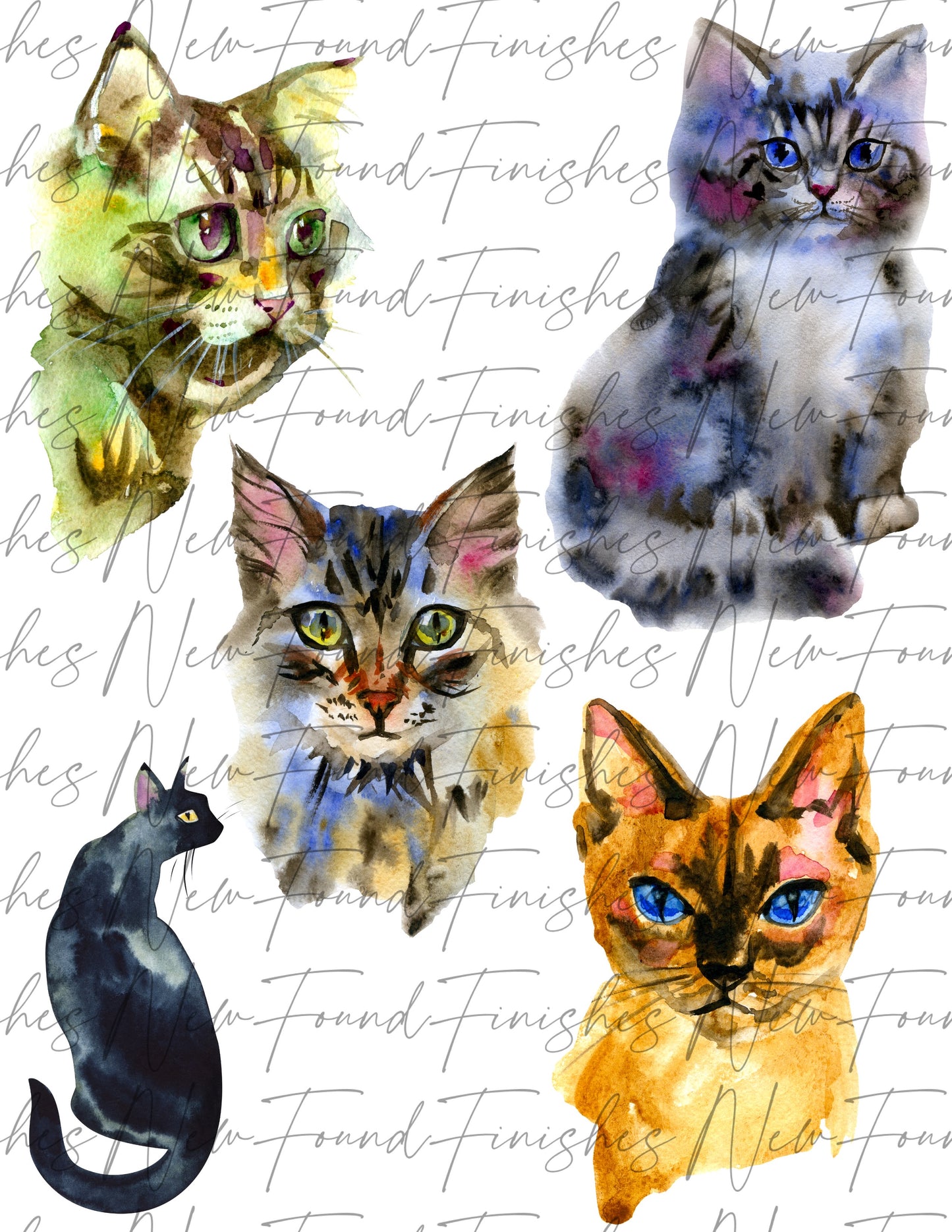 Cats sheet large sizes