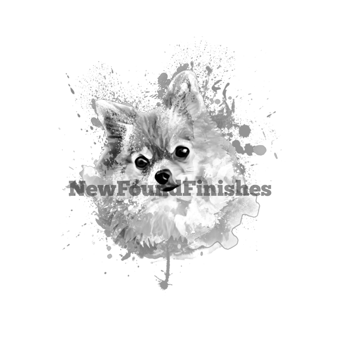 Pomeranian