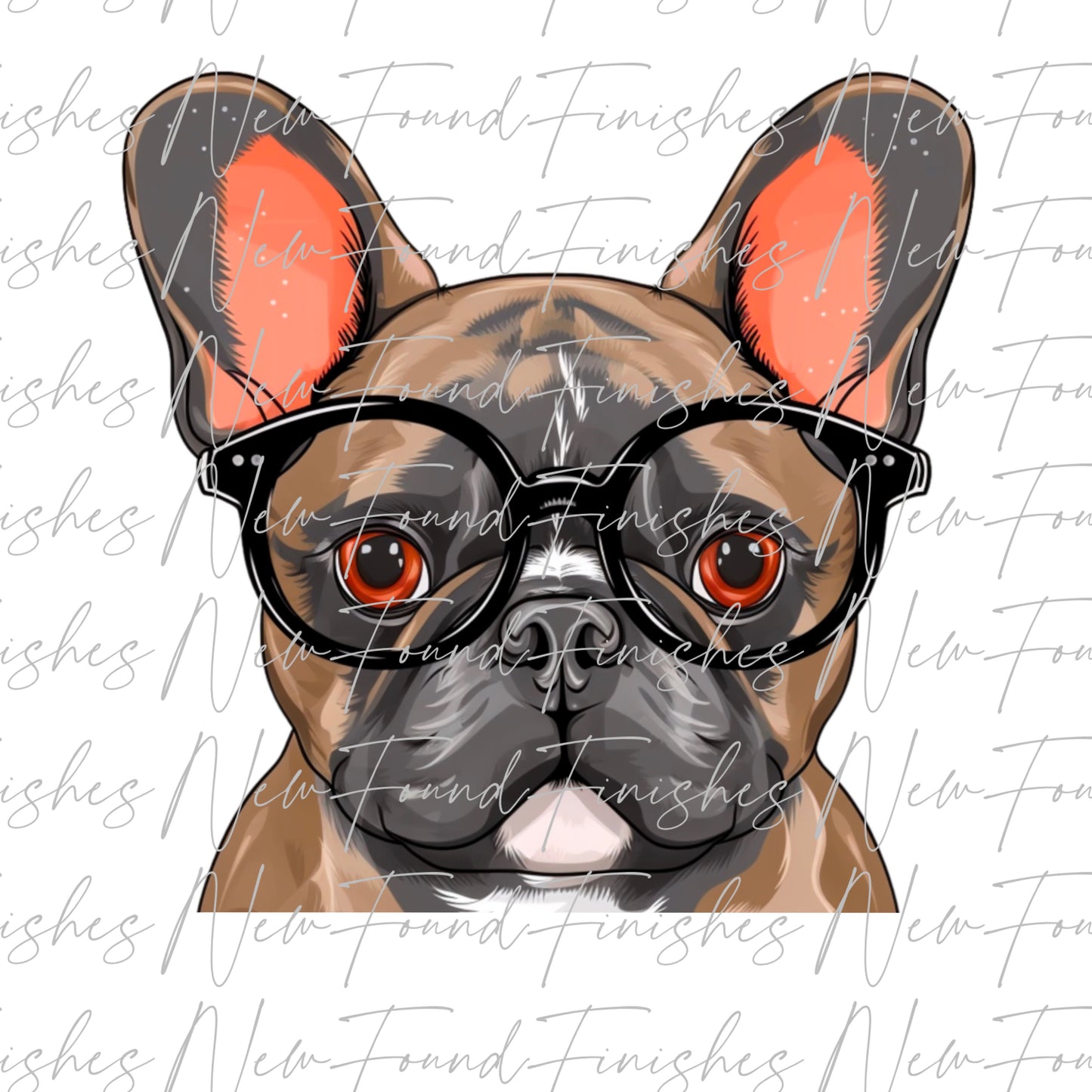 Brown Frenchie - PNG