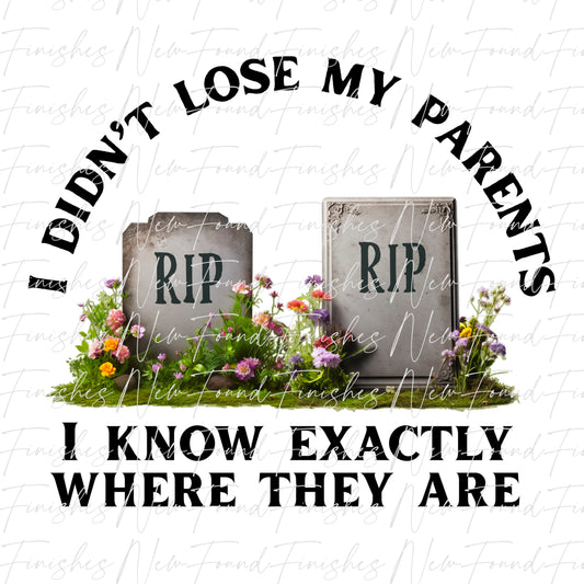 I didn’t lose my parents tombstoneTransparent PNG