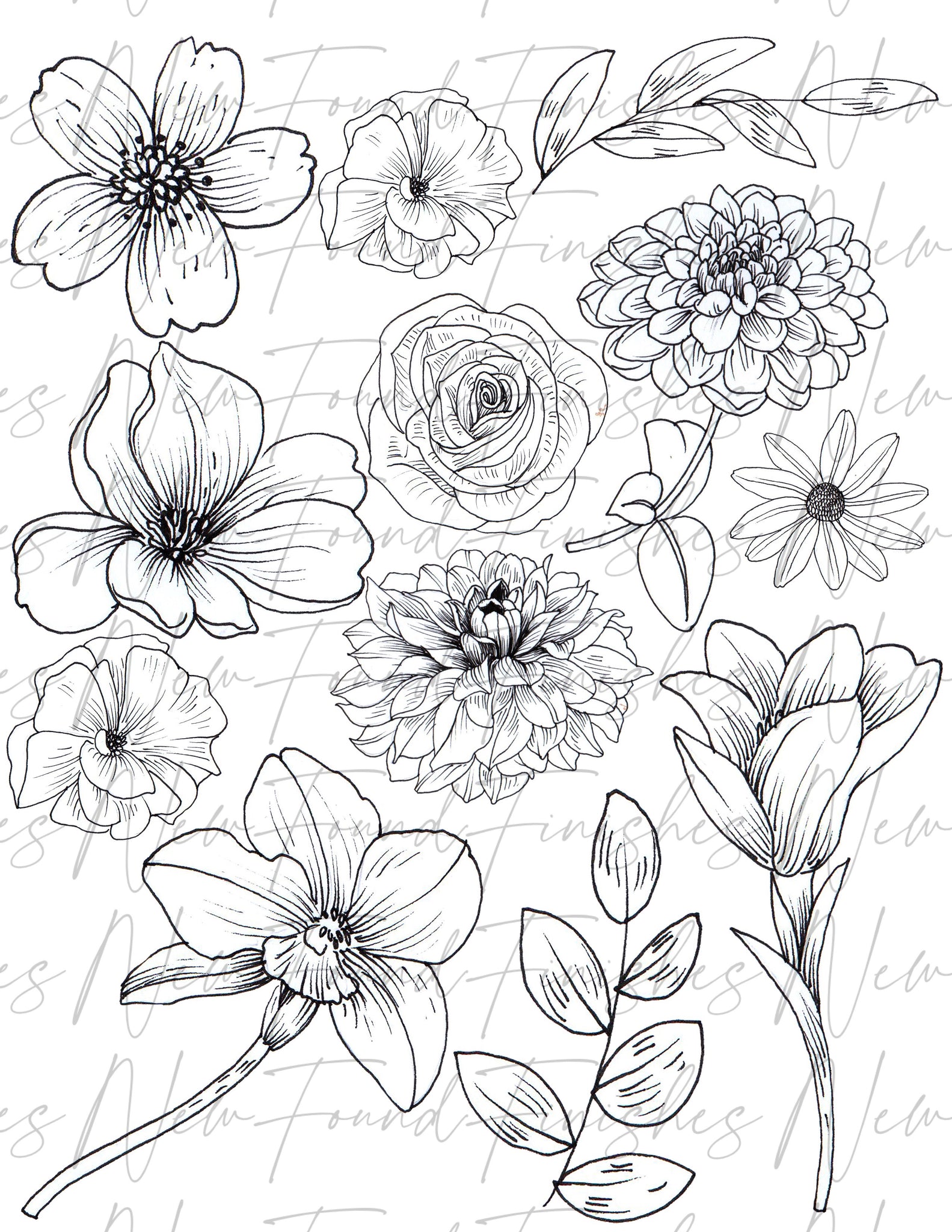 Line drawing floral 2 DARK pack