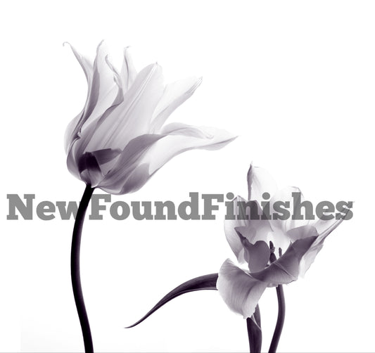 Black and white flowers 2