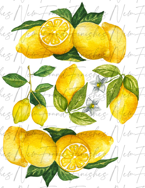 Lemon set dark