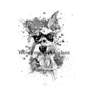 Schnauzer