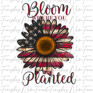 Bloom where you are planted USA