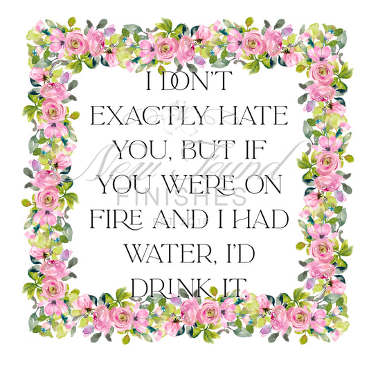 I don’t exactly hate you