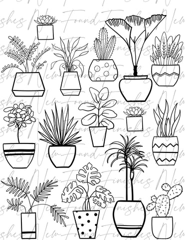 Houseplant potted plants Line drawing  floral Metallic pack