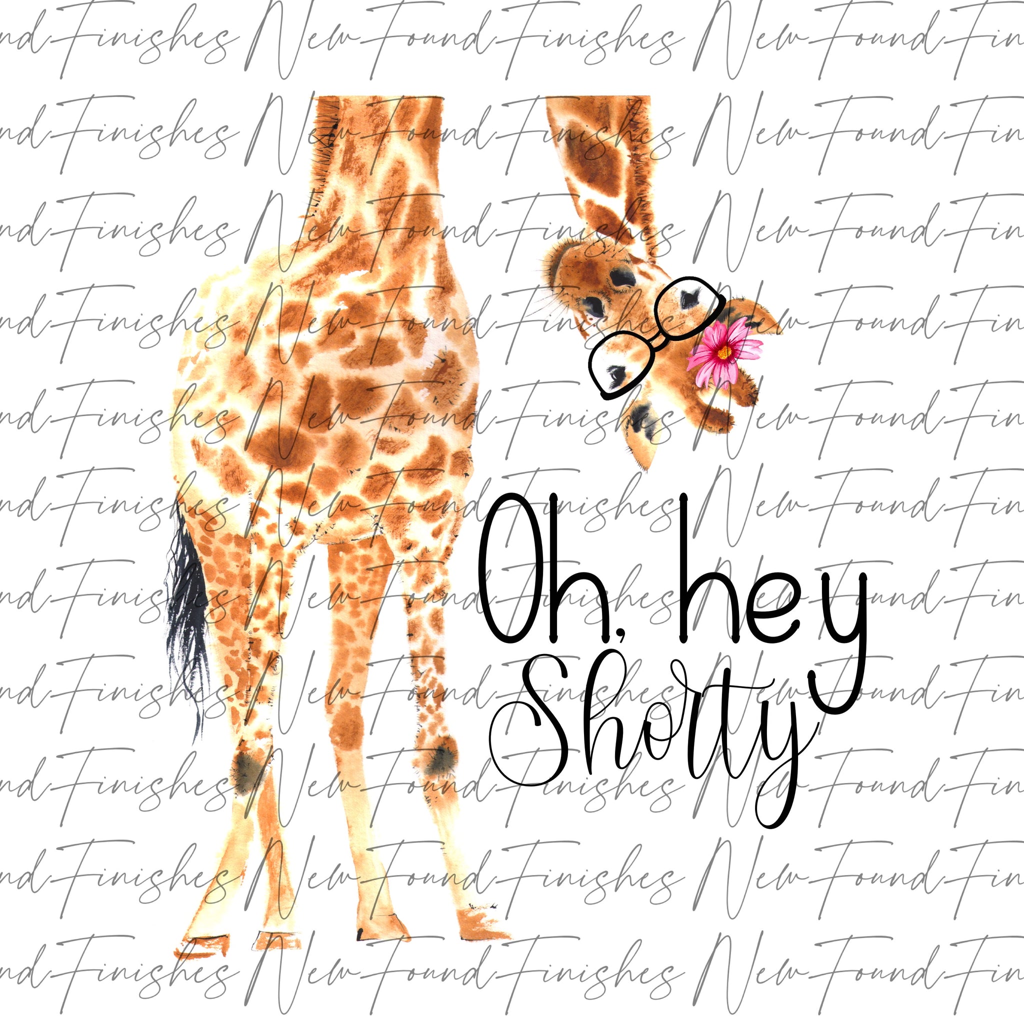 Oh hey shorty digital
