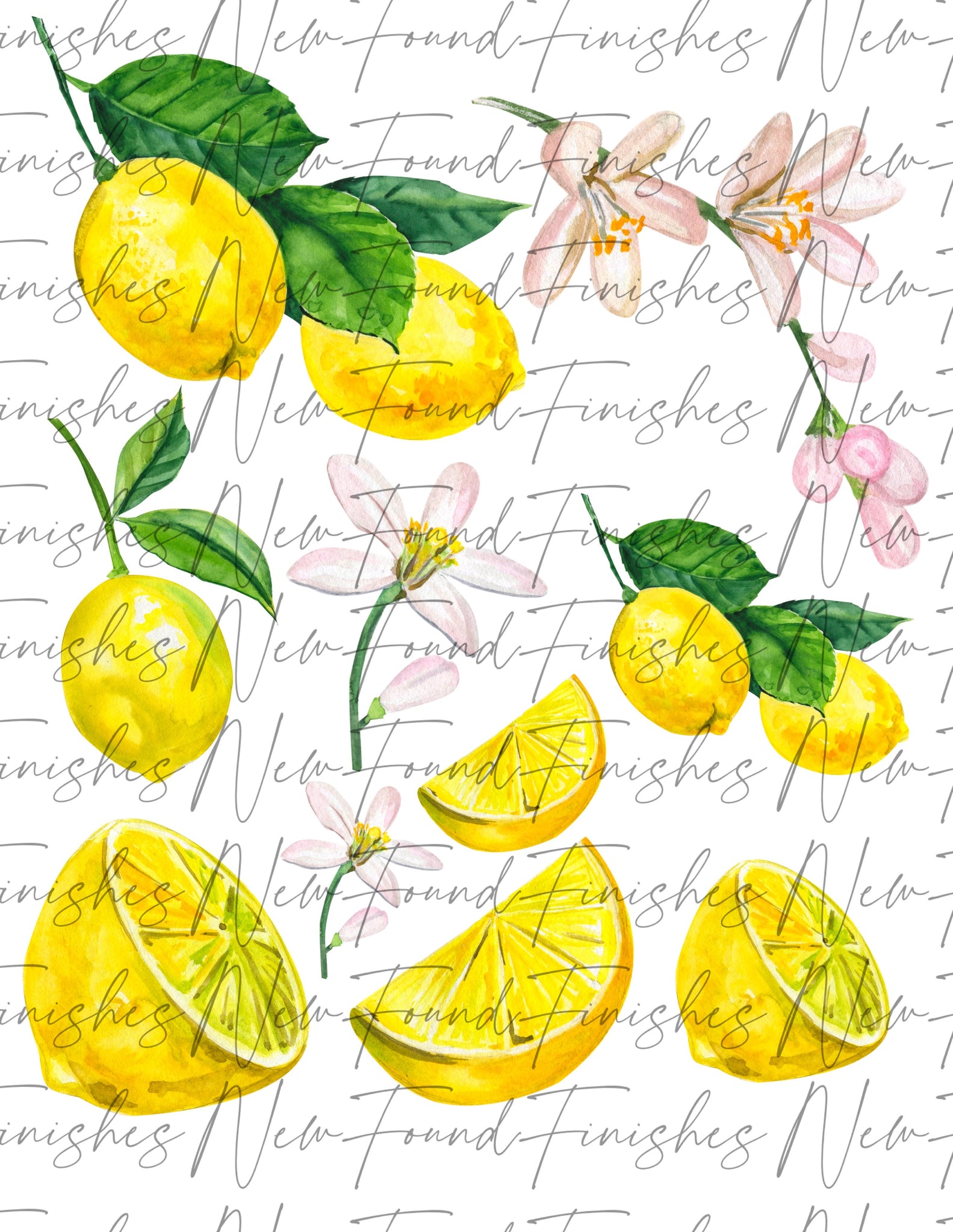 Lemon sheet large sizes