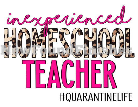 Inexperienced homeschool teacher