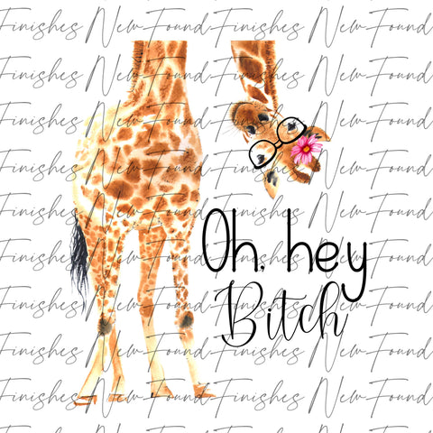 Oh hey bitch giraffe - PNG