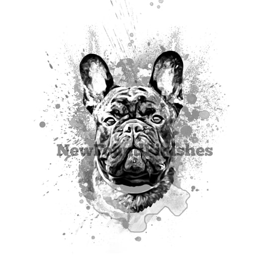 French bulldog