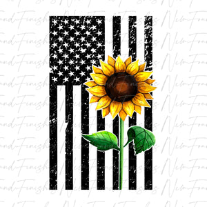 US flag sunflower