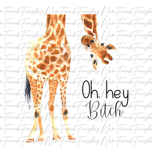 Oh, hey bitch