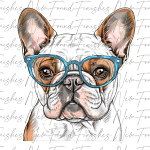 White Frenchie  - PNG