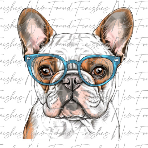 White Frenchie  - PNG