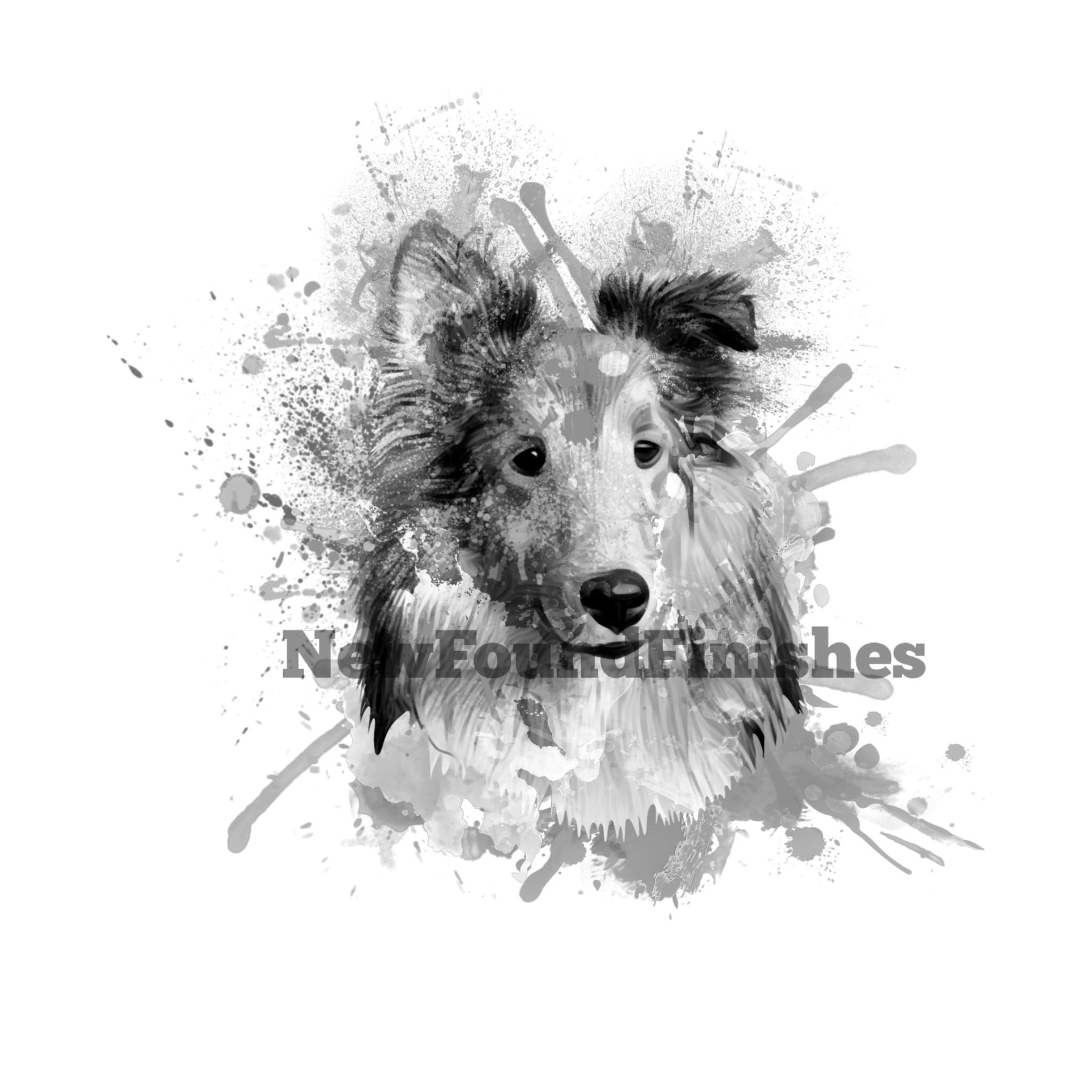 Sheltie