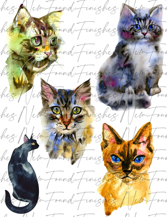 Cats sheet large sizes