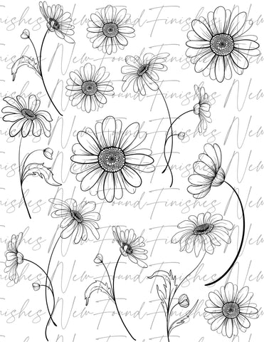 Daisy Line drawing  floral Metallic pack