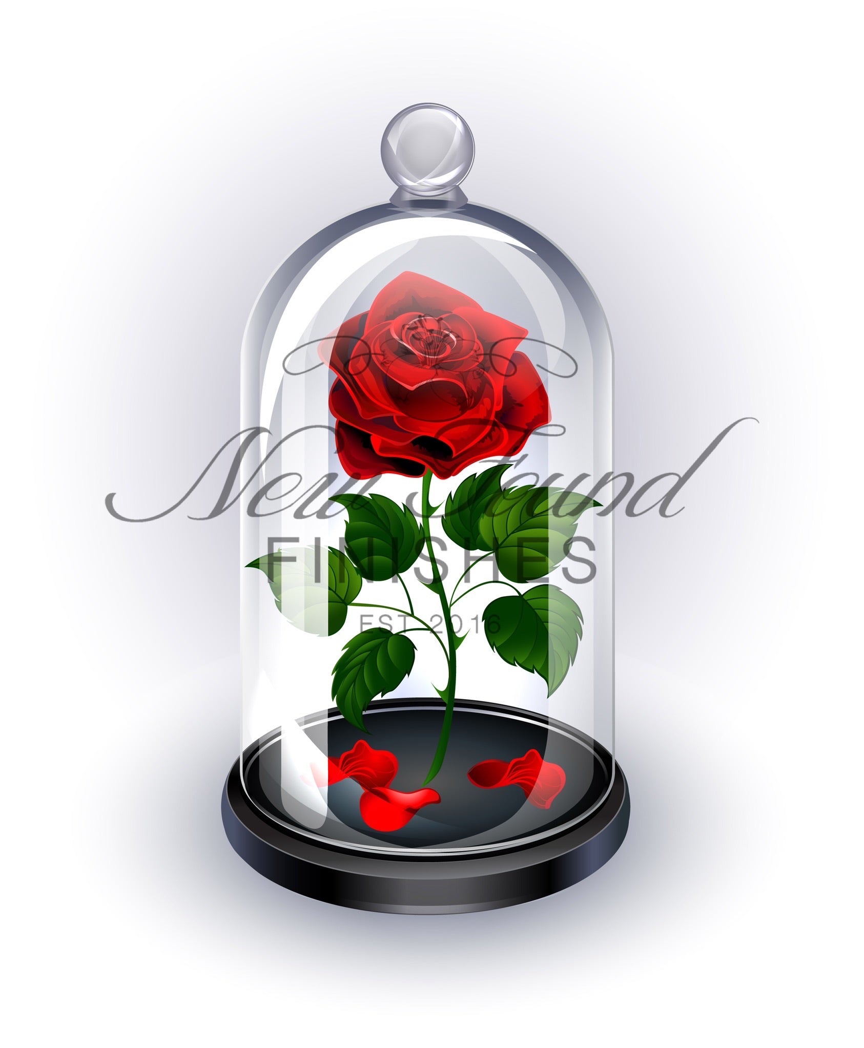 Red rose