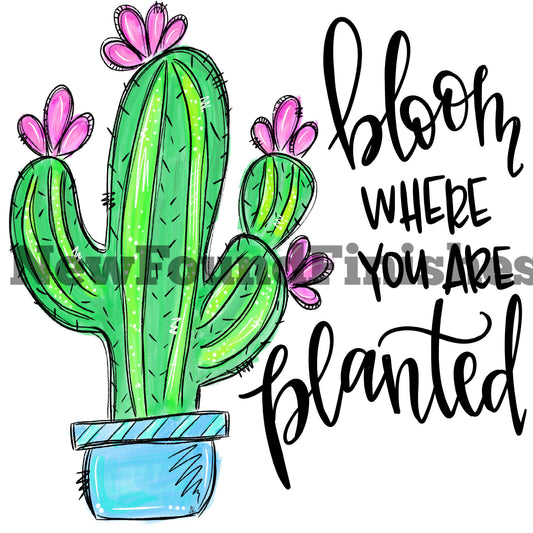 Bloom where you are planted