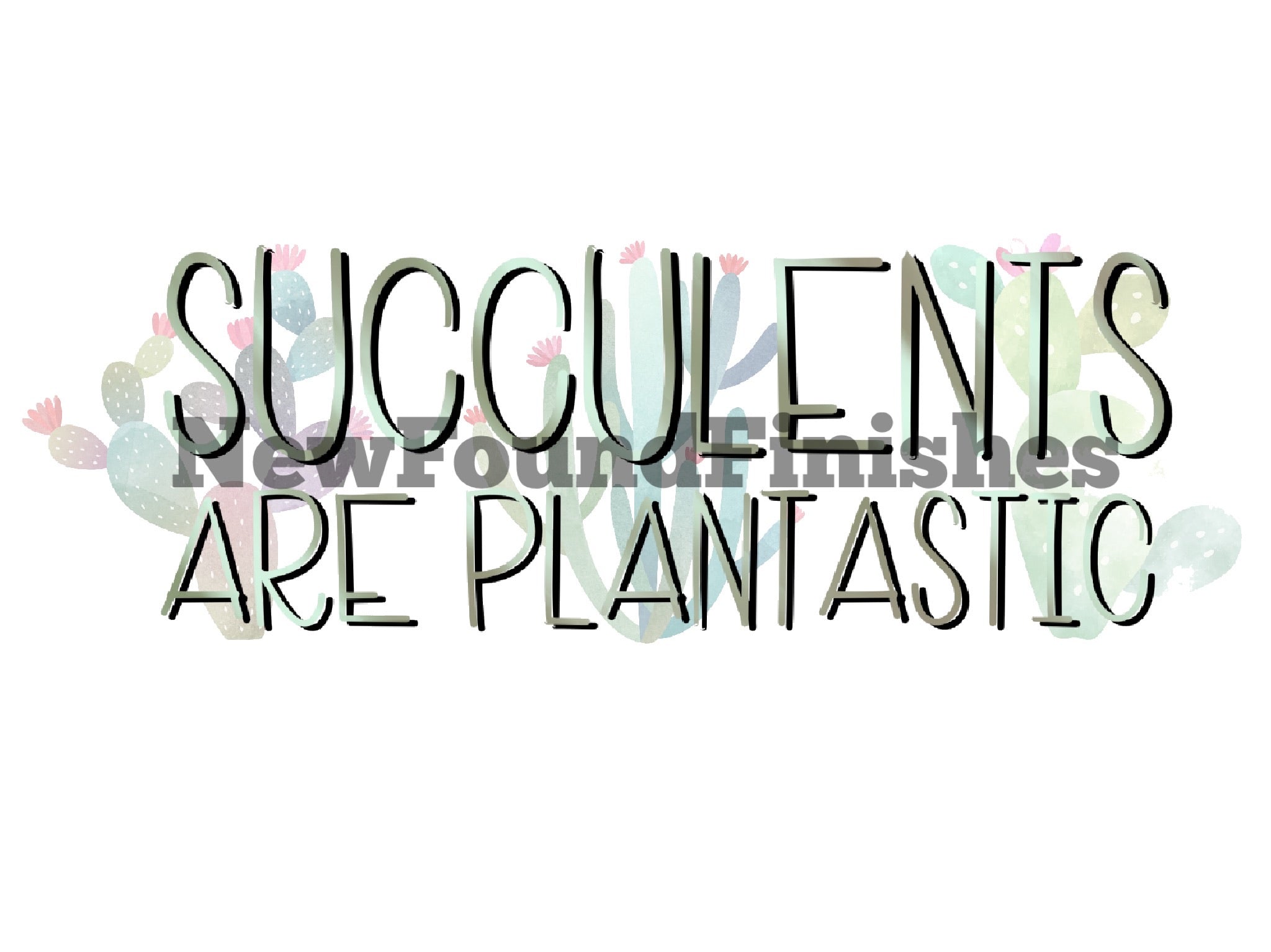 Succulents are plantastic