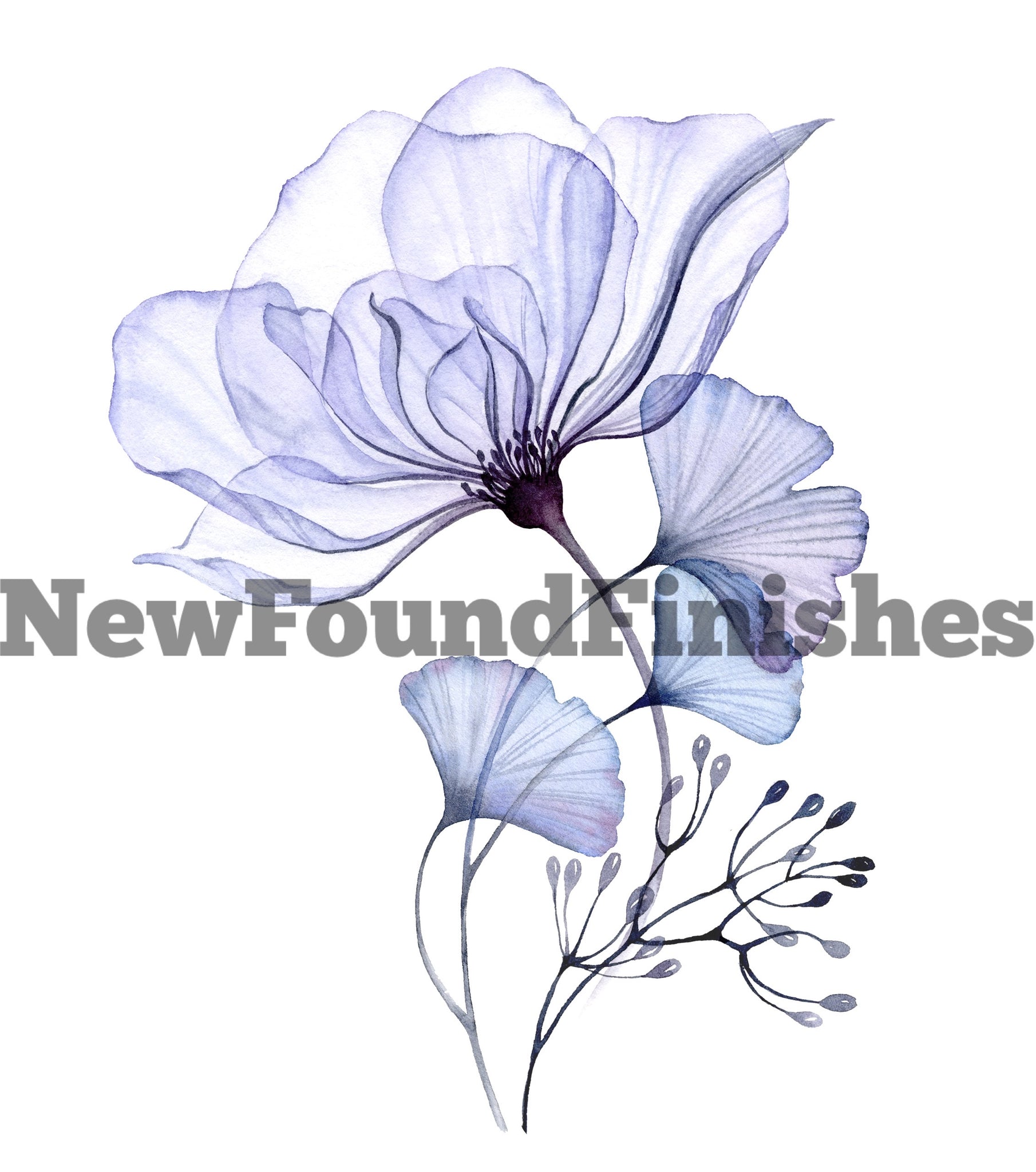 Blue flowers
