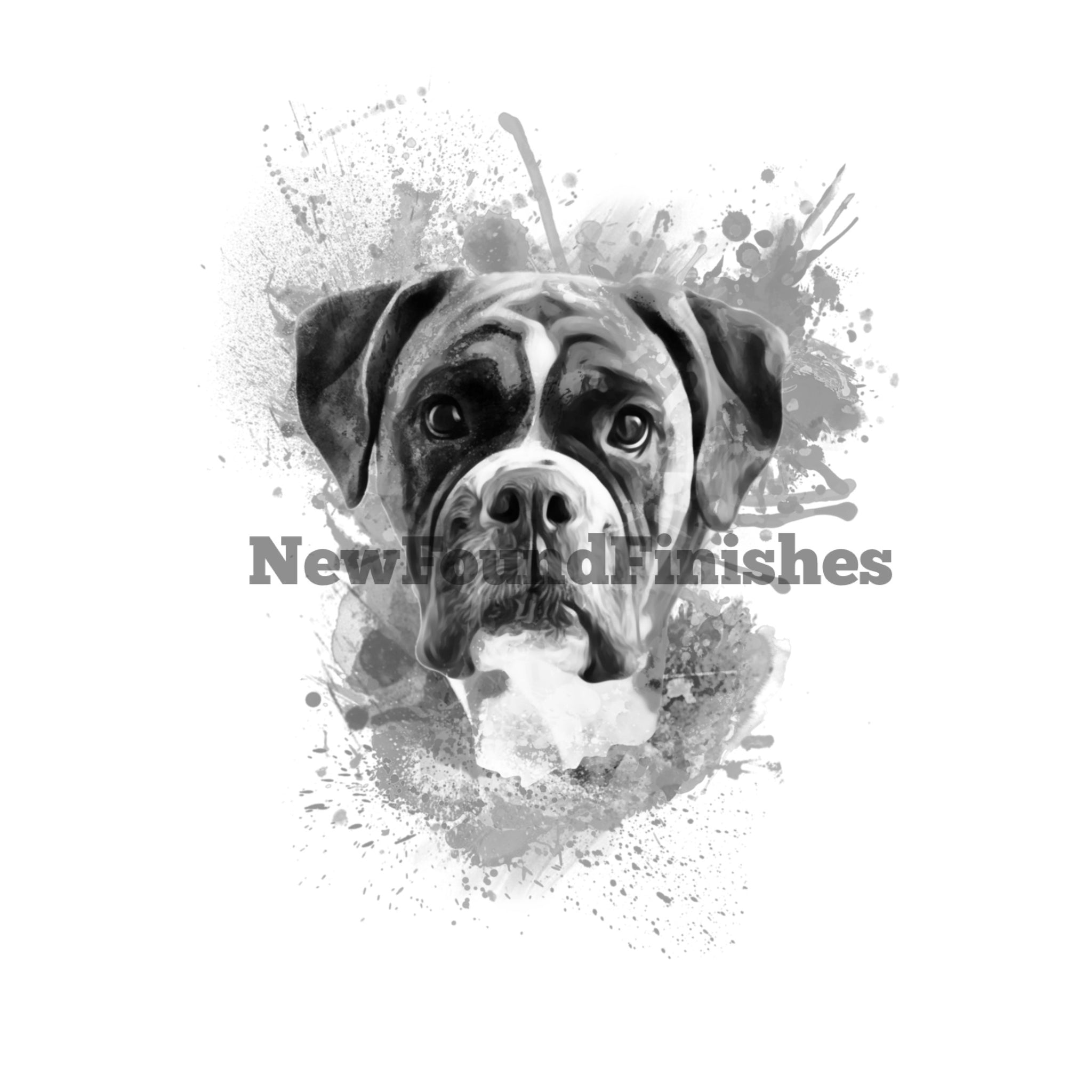 Boxer