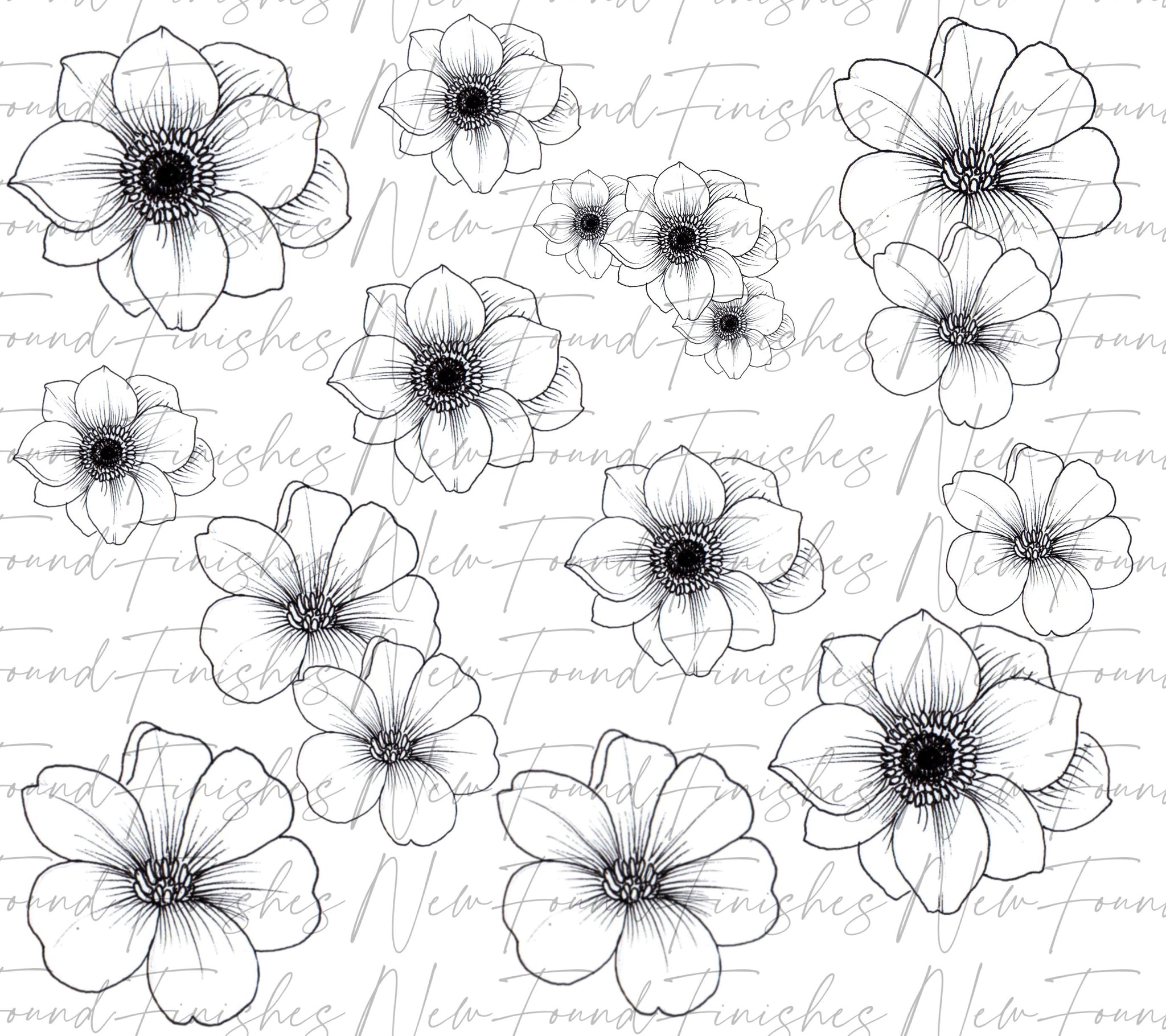 Line drawing floral Metallc pack