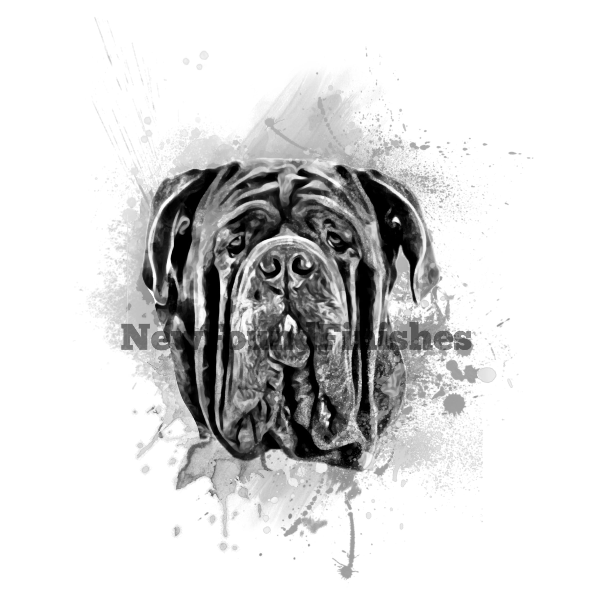 Cane corso