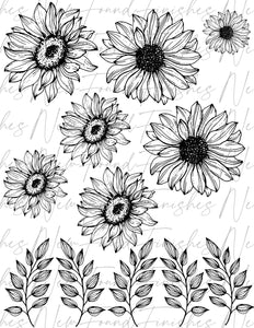 Sunflower Line drawing 2 floral Metallic pack