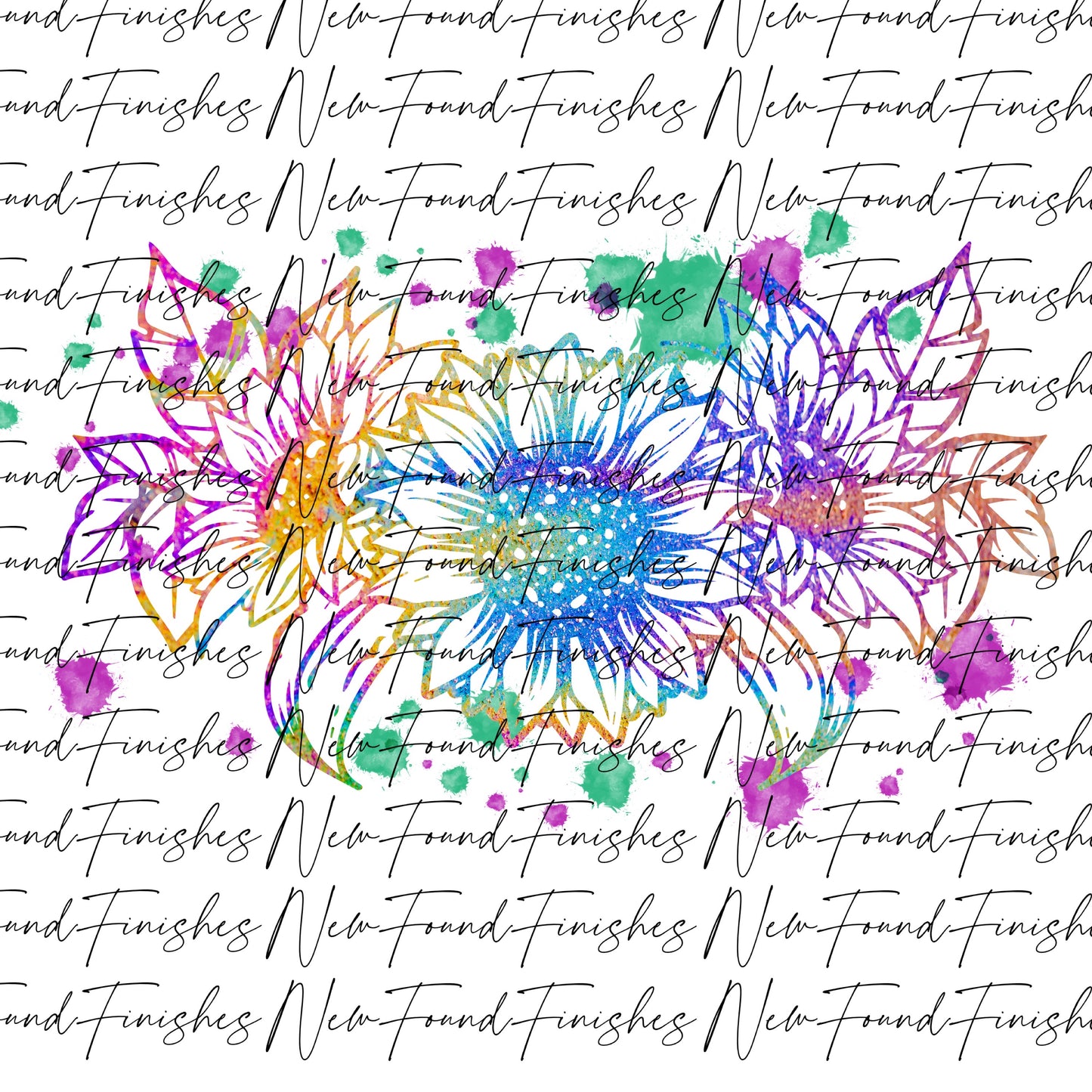 Colourful sunflower