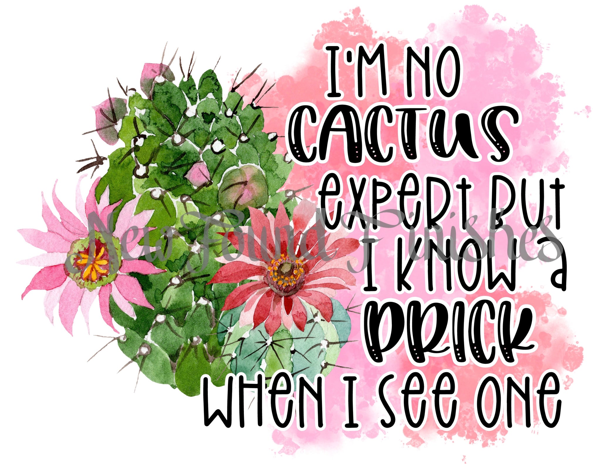 Cactus expert