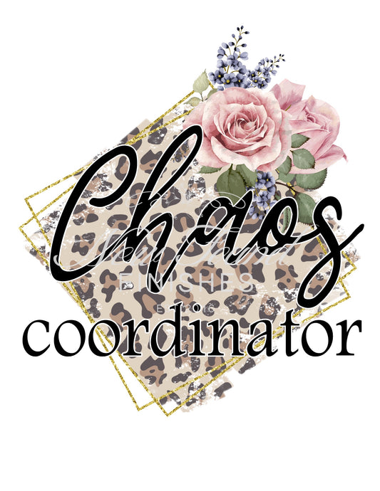 Chaos coordinator
