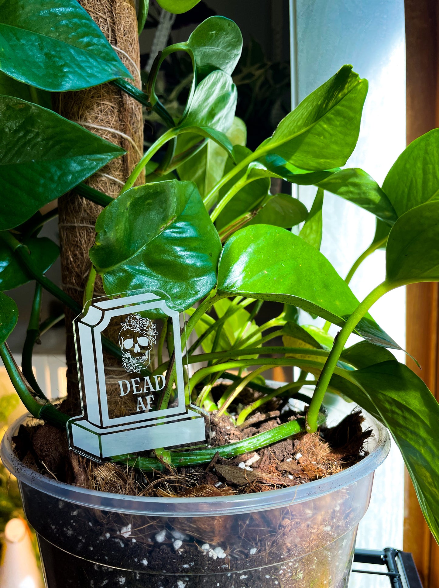 Funny tombstone plant stakes 2 Large sized