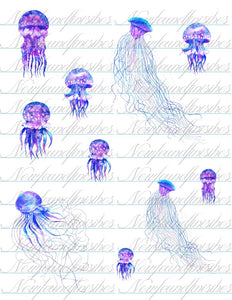 Jellyfish Dark set